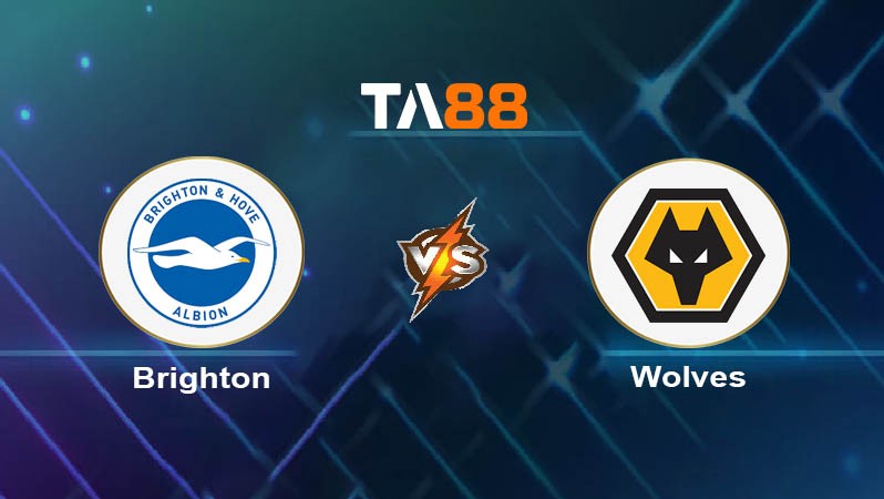 TA88 Soi kèo nhận định Brighton vs Wolves, 02h45 ngày 23/01/2024